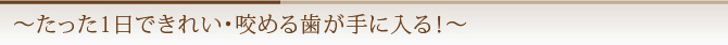 ～たった1日できれい・咬める歯が手に入る！～